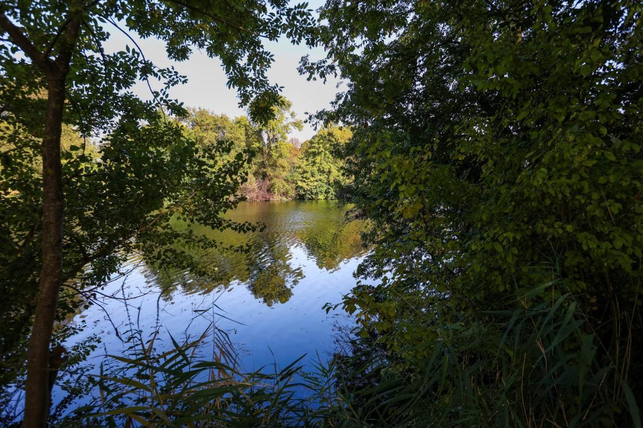 קונייאק Le Saint Martin #Centre Ville #Charente #6Pers מראה חיצוני תמונה